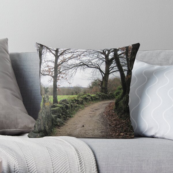 Camino de Santiago, Spain Throw Pillow