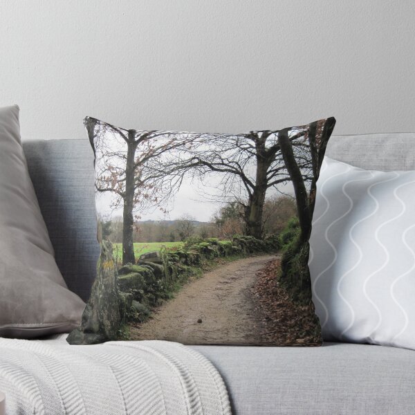 Item preview, Camino de Santiago, Spain designed and sold by nilesite.