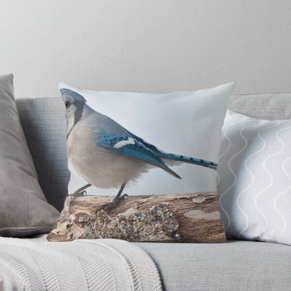 Item preview, This Is My Best Side designed and sold by barnsis.