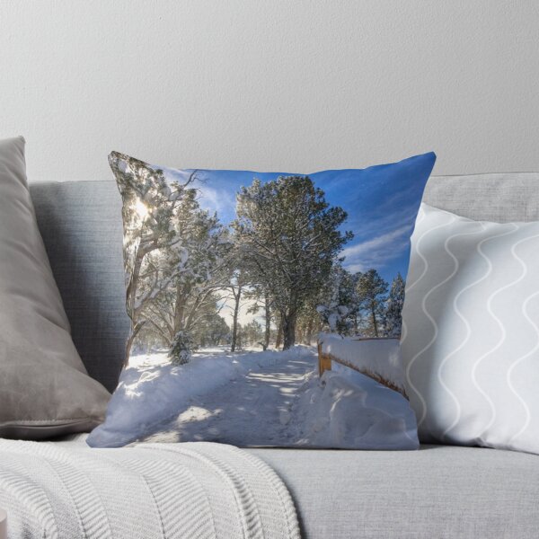 Aperçu de l'œuvre Winter Path créée et vendue par Sue Cullumber.