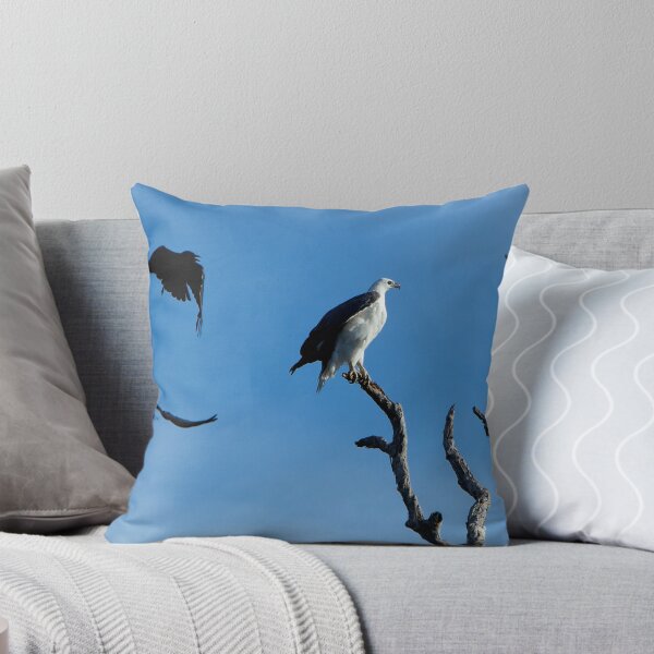 Item preview, Sea Eagle  90 designed and sold by John Van Den Broeke.