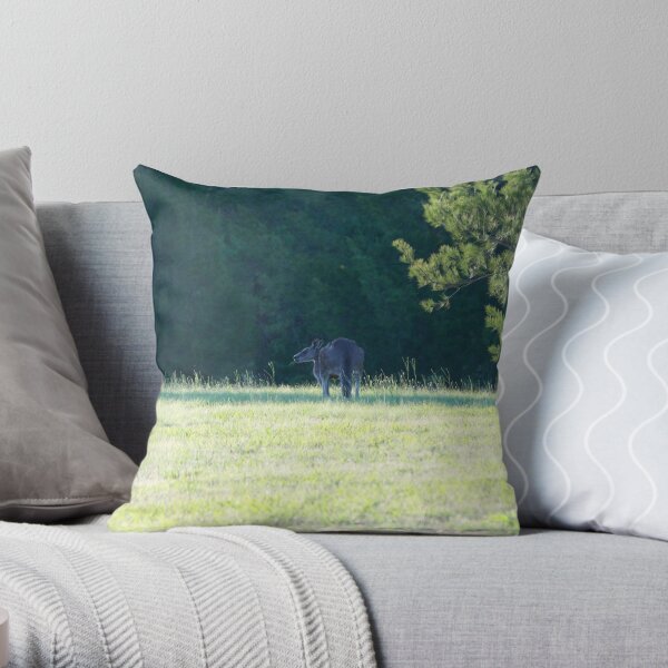 Bush Capital Throw Pillow