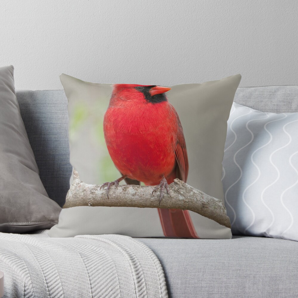 Throw Pillow Cover, Northern Cardinal Male Red Bird Pillow, Cute Pillo –  georgemillerart