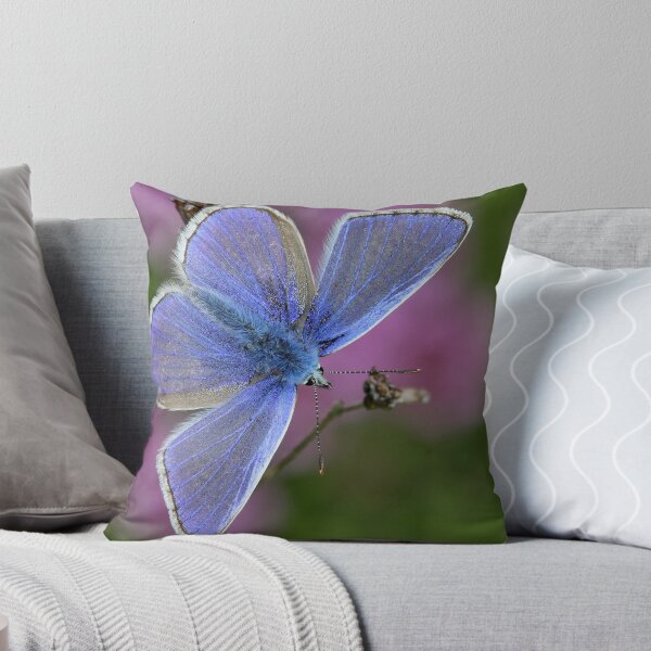 Aperçu de l'œuvre Papillon bleu commun créée et vendue par Gary Richardson.