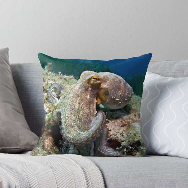 Item preview, Octopus designed and sold by Henry Jager.