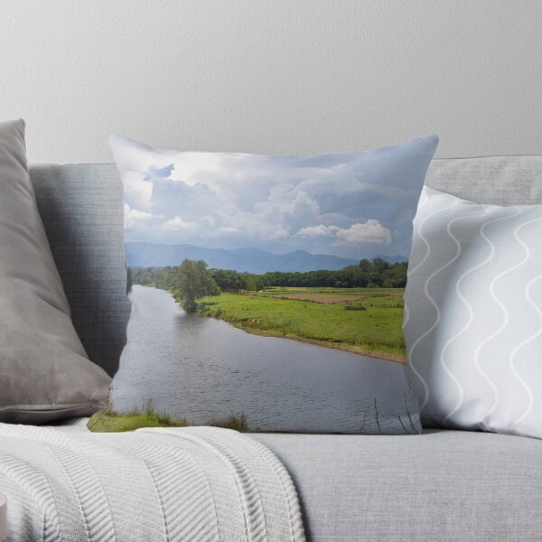 The River Throw Pillow
