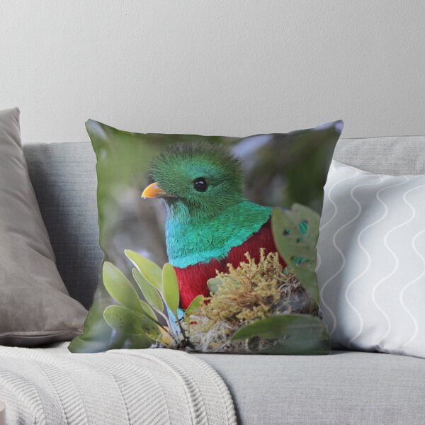 Item preview, Resplendent Quetzal designed and sold by Melissa Penta.