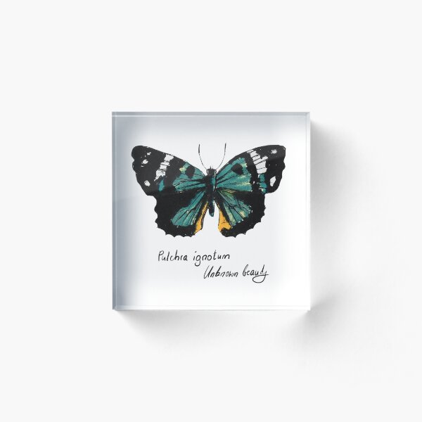 Grüner Schmetterling Pulchra ignotum Acrylblock