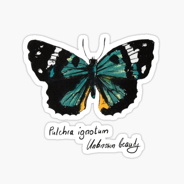 Grüner Schmetterling Pulchra ignotum Sticker