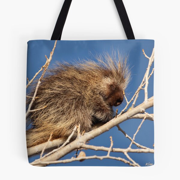 Item preview, Sleepy Porcupine designed and sold by Kim Barton.