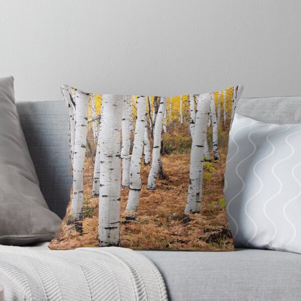Item preview, Aspen & Fern designed and sold by David Kocherhans.