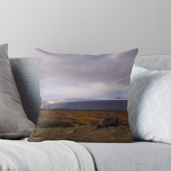 Item preview, Islandia: Oveja negra designed and sold by Curlyf.