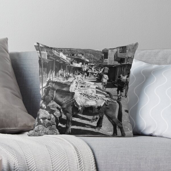 Not just a one horse town? Throw Pillow