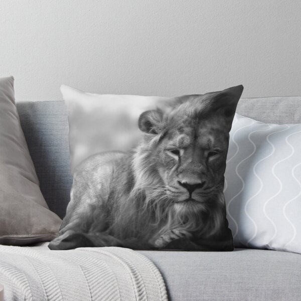 Item preview, Asiatic Lion - Sleepy Head designed and sold by CelticOrigins.