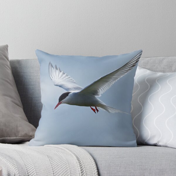 Item preview, Arctic Tern on Inner Farne designed and sold by Martin Lawrence.