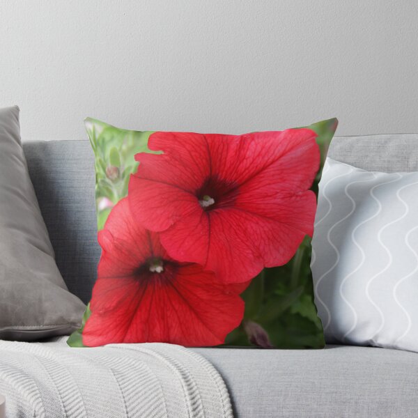 Item preview, Sisters.. designed and sold by FotoBloke.