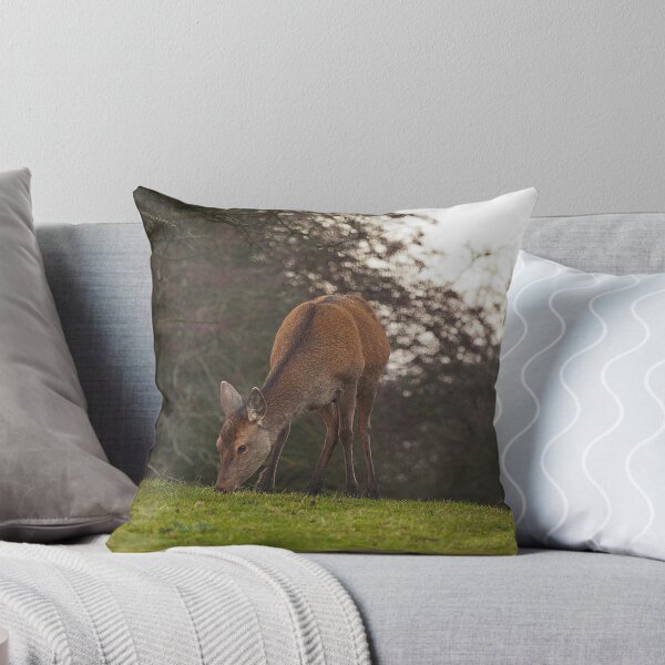 Artikelvorschau, Deer entworfen und verkauft von Billy Hodgkins.