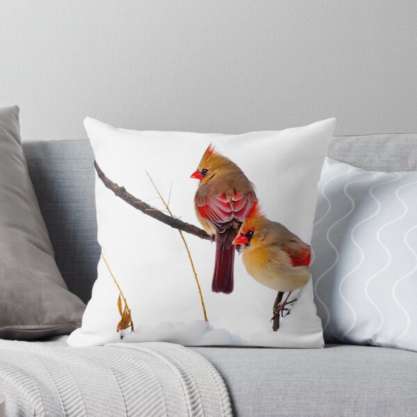 Item preview, Two Females Posing as Cardinals designed and sold by Randy Branham.