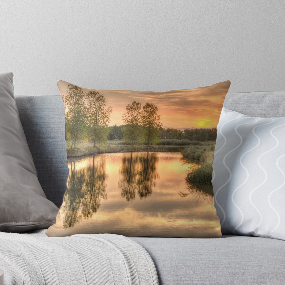 Item preview, Throw Pillow designed and sold by nikongreg.
