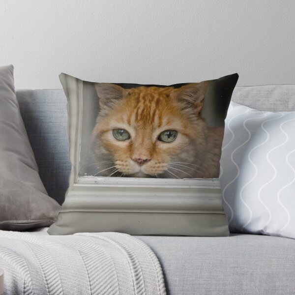 Productos del hogar Coto Redbubble