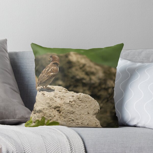 Item preview, Call of the house sparrow designed and sold by njumer.