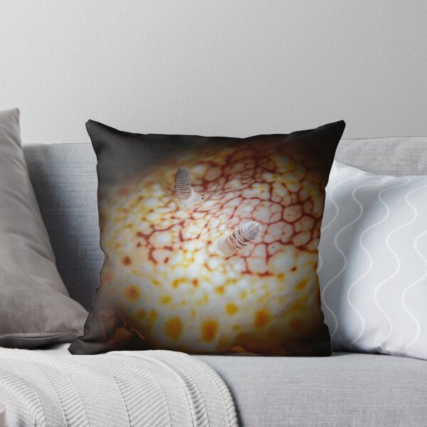 Item preview, Red Netted Chromodoris designed and sold by MattTworkowski.