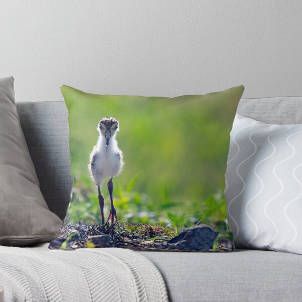 Item preview, The Chick designed and sold by Peter Doré.