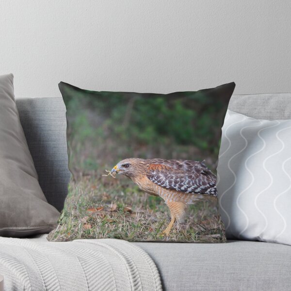 Item preview, RED SHOULDERED HAWK designed and sold by Kathy Cline.