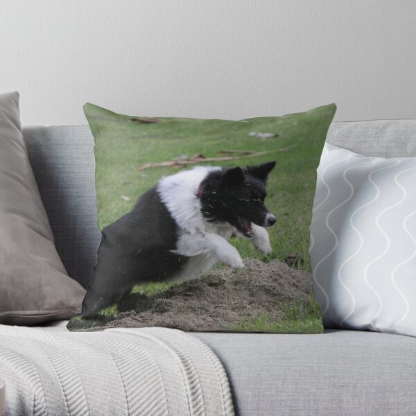 Border Collie Pouncing Throw Pillow
