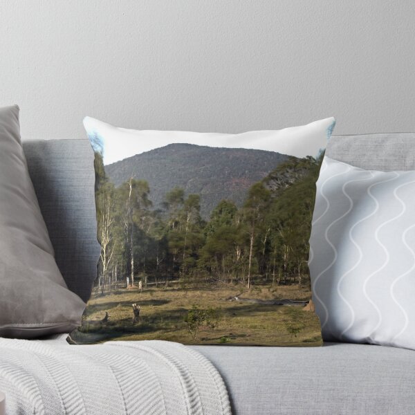 Item preview, Mt Ewards designed and sold by Pamela  Batten.