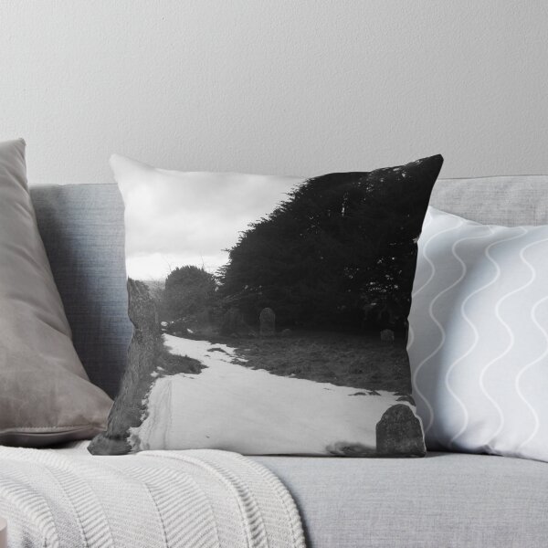 Item preview, Snowy Grave. designed and sold by Neill Parker.