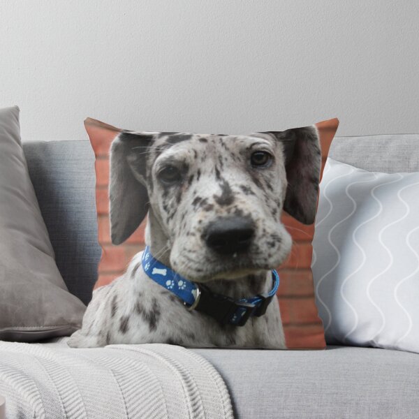 Aperçu de l'œuvre Great Dane Puppy 3 créée et vendue par sherele.