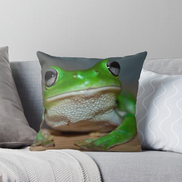 Item preview, Mr Frogtastic designed and sold by Cathie Trimble.