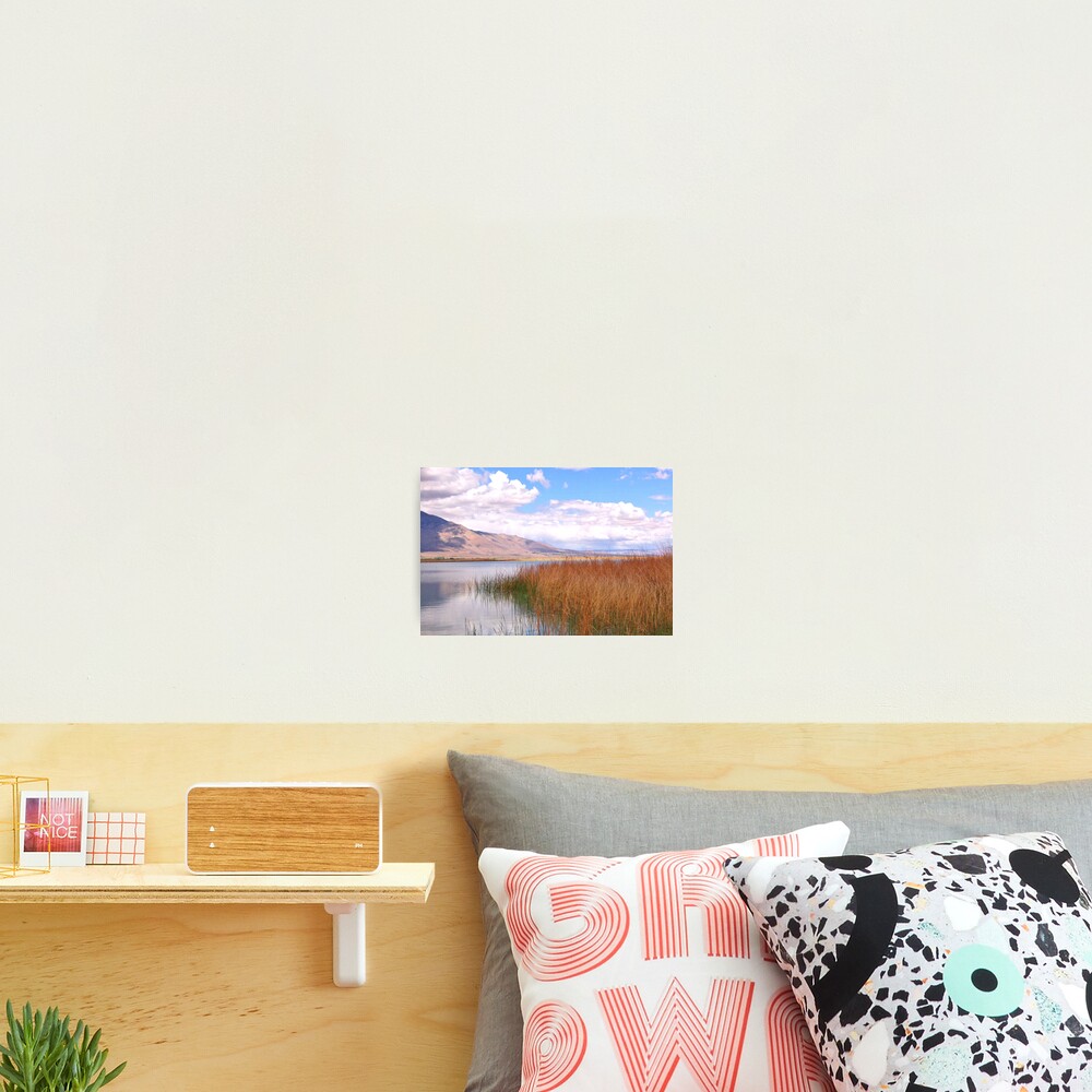 Vista previa del artículo con la obra «Lámina fotográfica», diseñado y vendido por geteup.