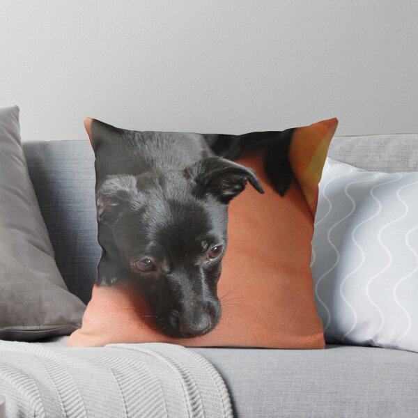 Item preview,  my Baby dog Mona designed and sold by Roswitha Lorz.