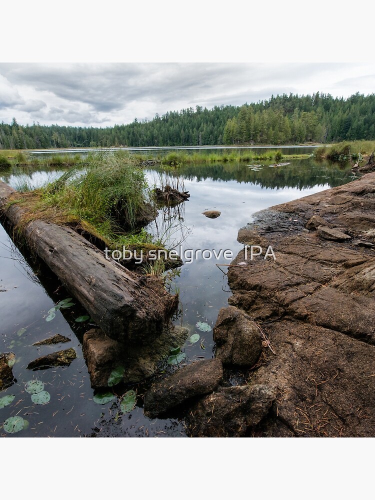 The Lake at Grace Harbour by tobysnelgrove
