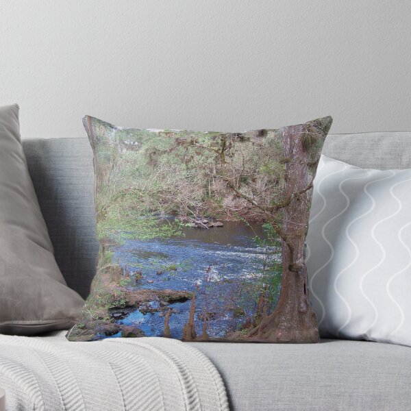 Item preview, Hillsborourgh River State Park, River designed and sold by William  Boyer.