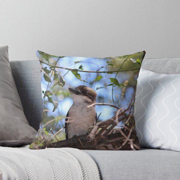 Item preview, Baby Kookaburra in our back yard designed and sold by Olaf Rosentreter.