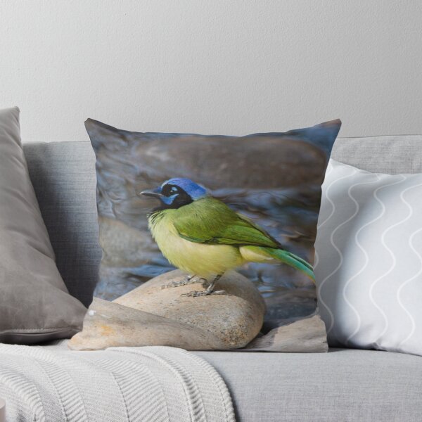 Item preview, A Green Jay Considers Taking a Bath designed and sold by Robert Kelch, M.D..