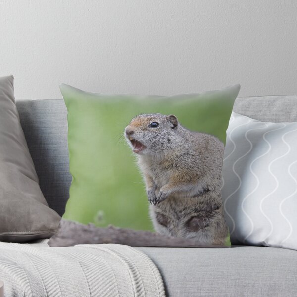 Item preview, Ground Squirrel Chirping, Yellowstone National Park designed and sold by TomReichner.