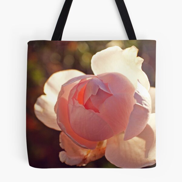 Item preview, Backlit Rose designed and sold by jayneeldred.