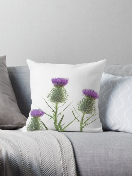 Item preview, Scotch Thistle designed and sold by John Holding.