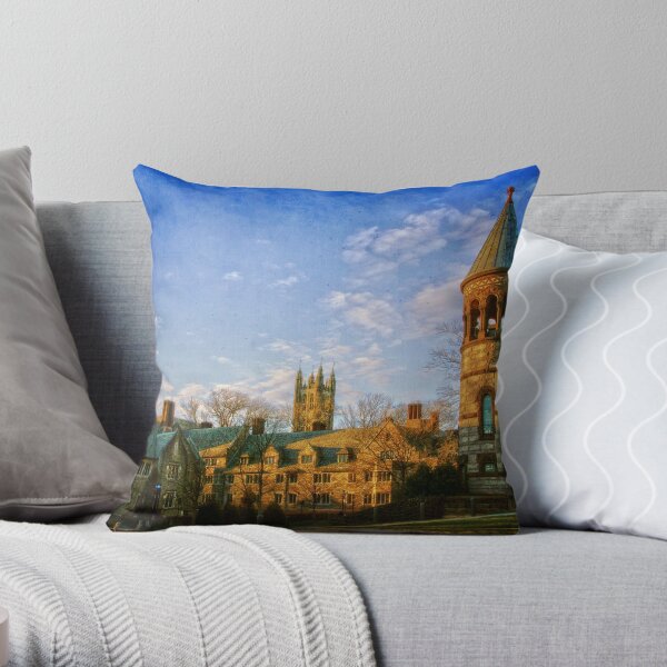Princeton University Campus Throw Pillow