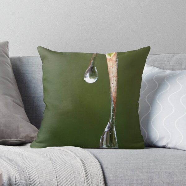 the melting of frozen tears Throw Pillow