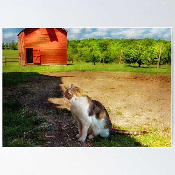 Item preview, Cat - The Mouser designed and sold by Mike Savad Photography.