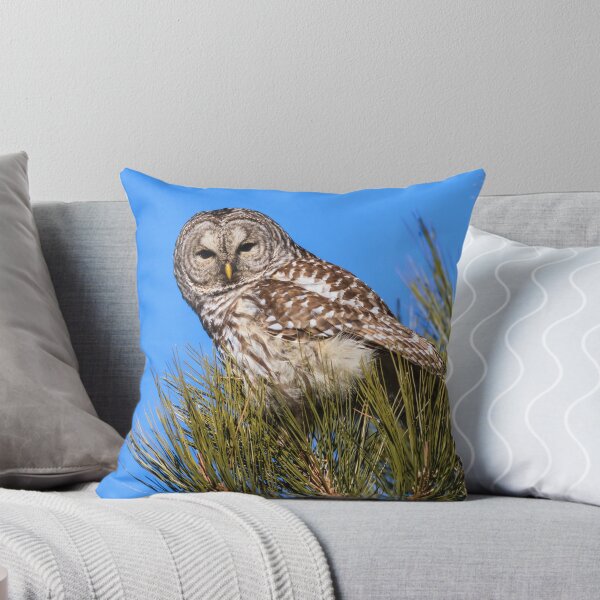 Item preview, Barred Owl: Too Bright designed and sold by johnrw21.