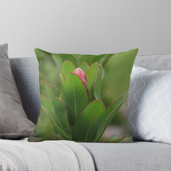 Item preview, Shy designed and sold by croust.