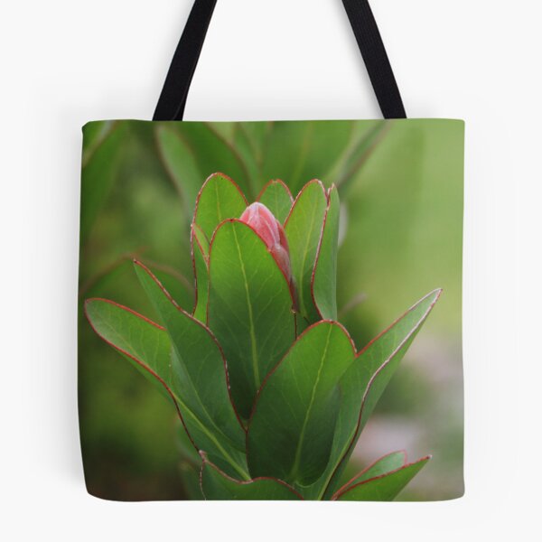 Item preview, Shy designed and sold by croust.