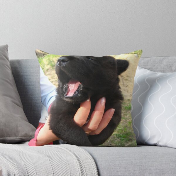 Item preview, The big black puppy in a hand designed and sold by Decoriolus.