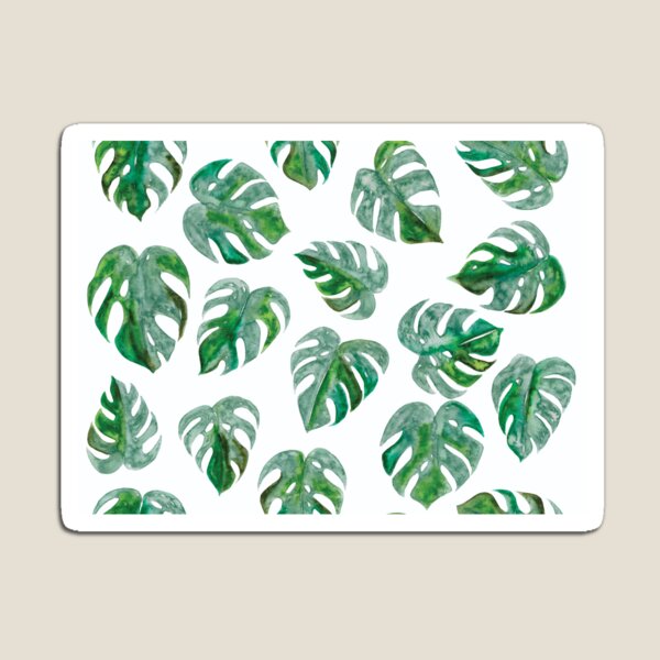 Tropical Monstera Leaf Pattern | White Background Magnet